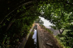 Selvagens e Levadas