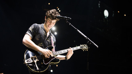 ShawnMendes